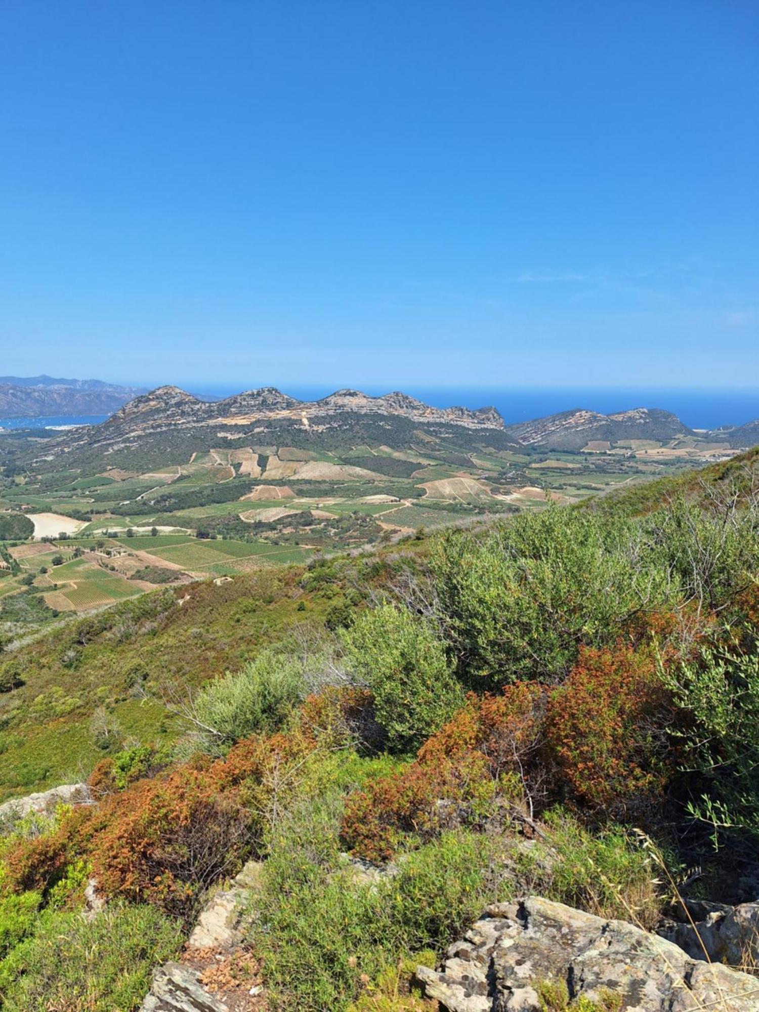 Le Clos Osteria Barbaggio Bagian luar foto