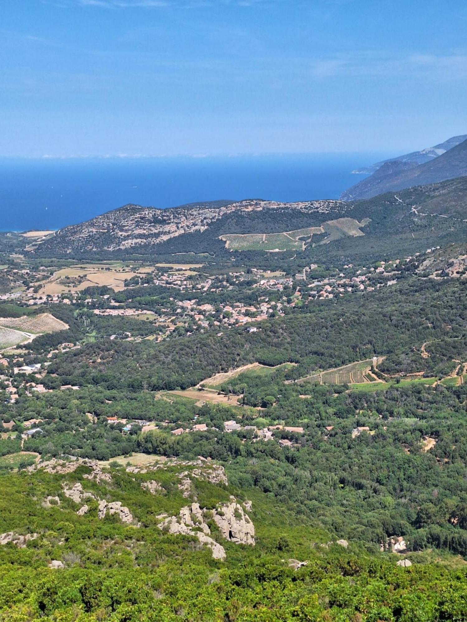 Le Clos Osteria Barbaggio Bagian luar foto
