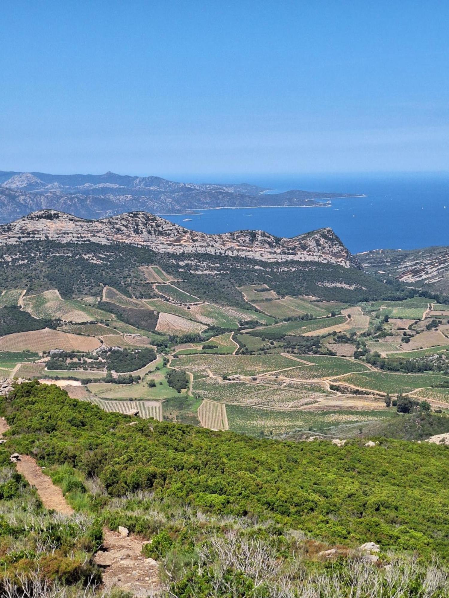 Le Clos Osteria Barbaggio Bagian luar foto